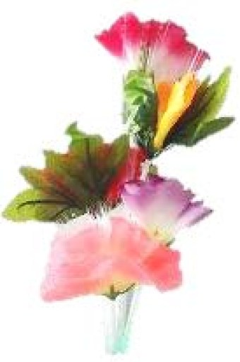 flore con luz2